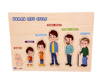 بازل مراحل نمو الانسان